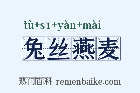兔丝燕麦是什么意思的图片